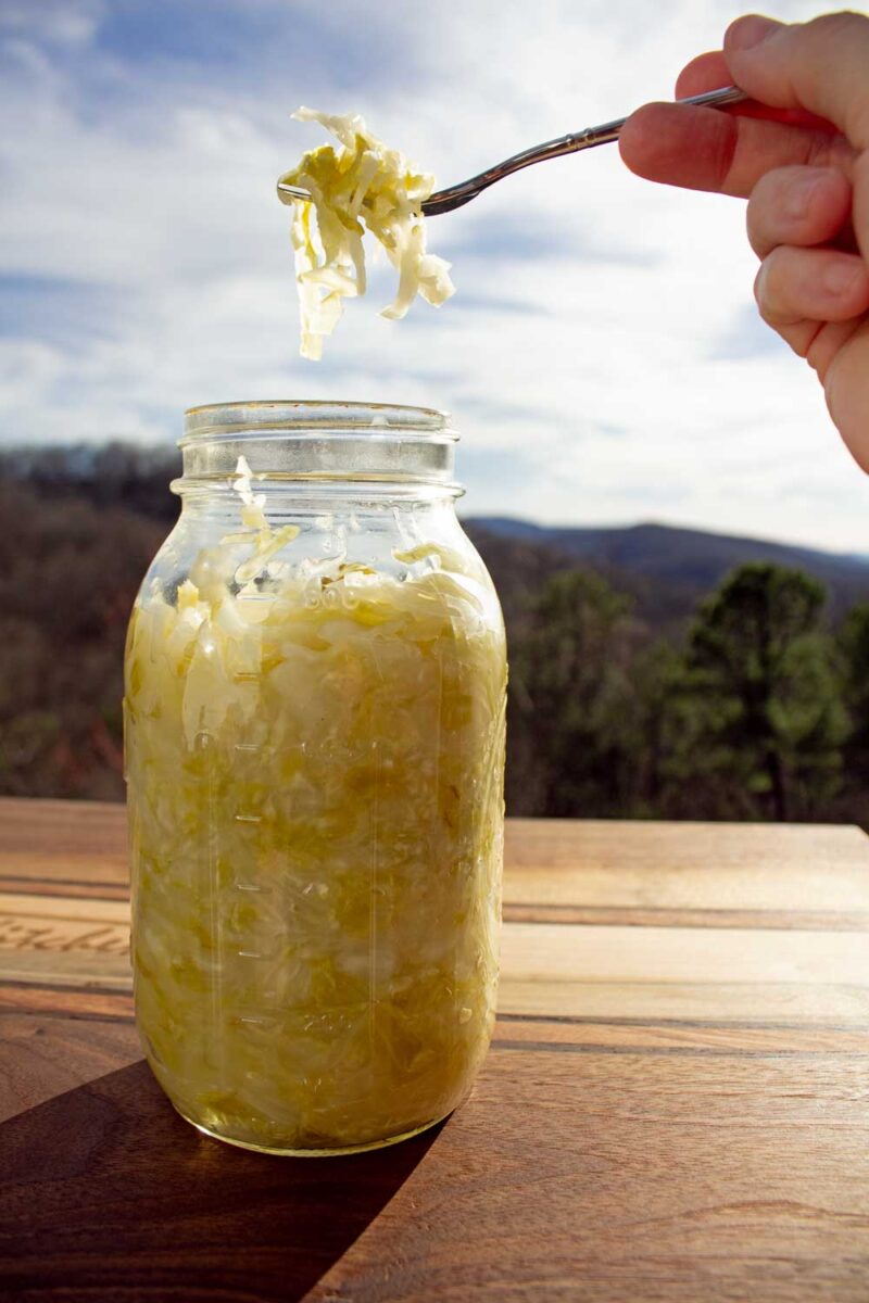 fork lifting sauerkraut from jar