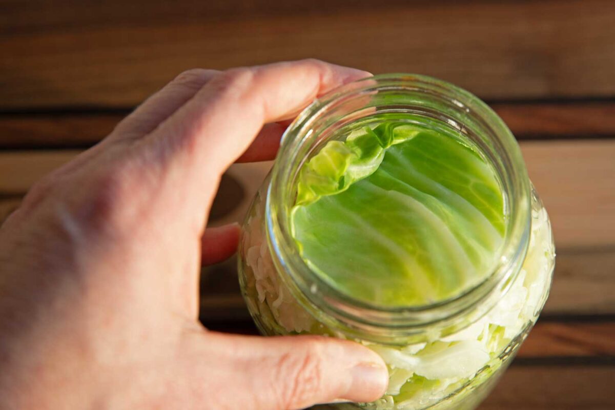 jar with cut cabbage leaf on top of shredded cabbage