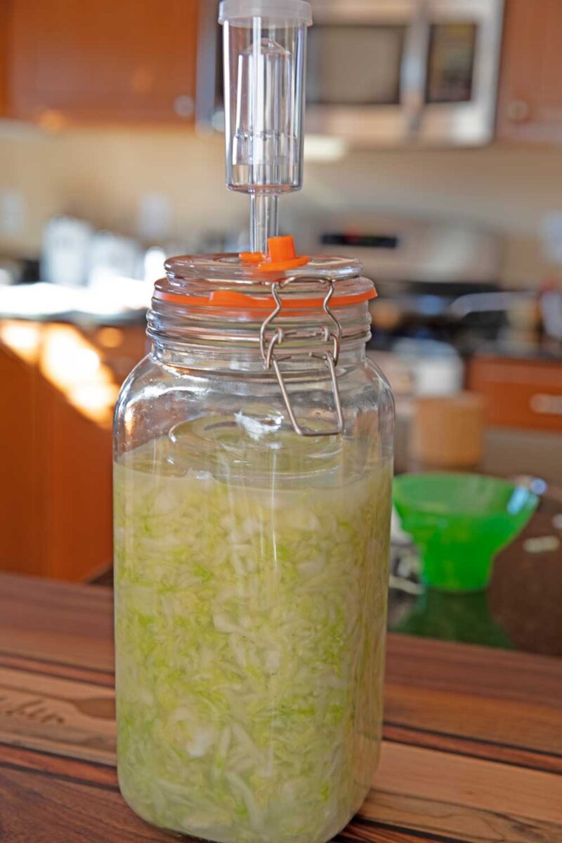 fermentation jar with sauerkraut inside