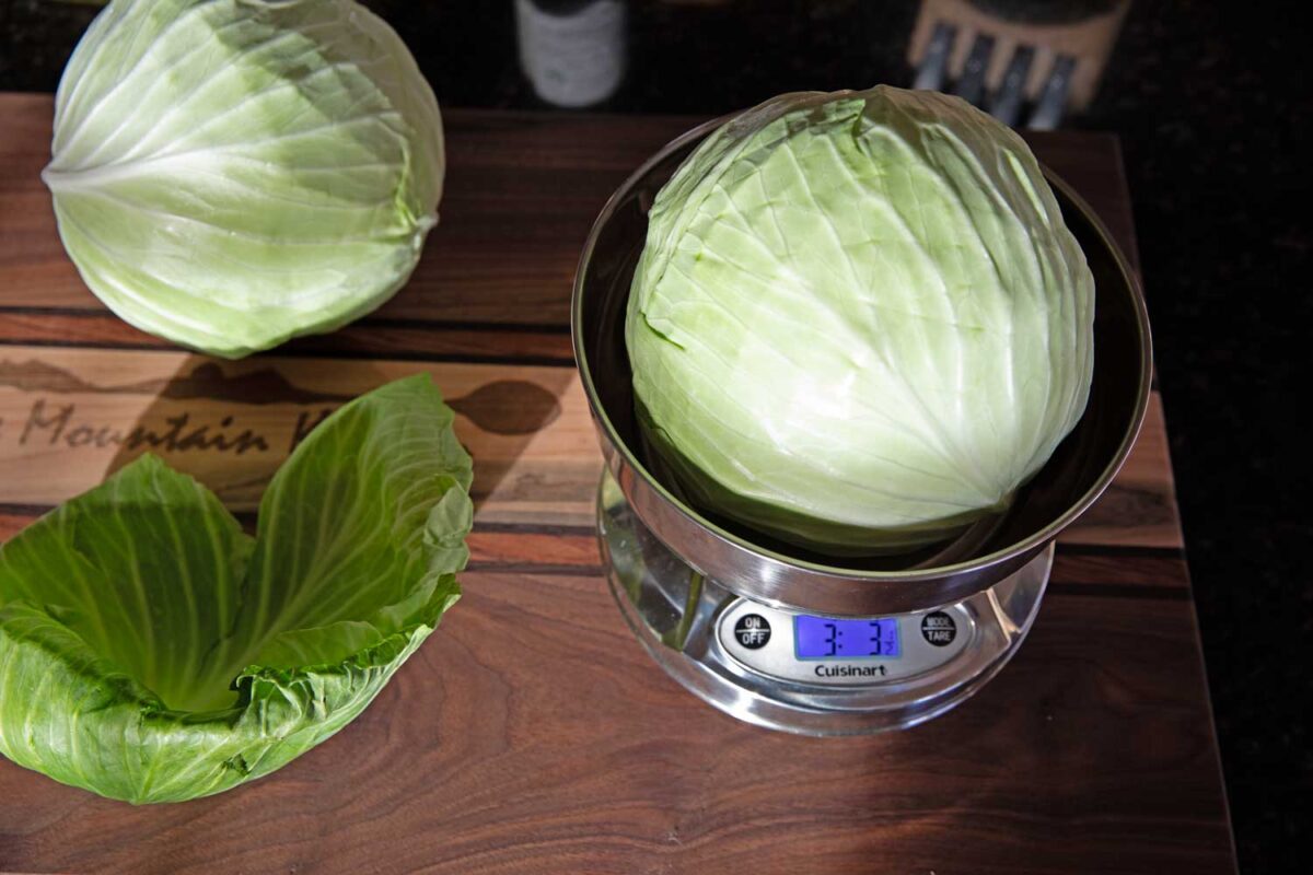 cabbage with food scale