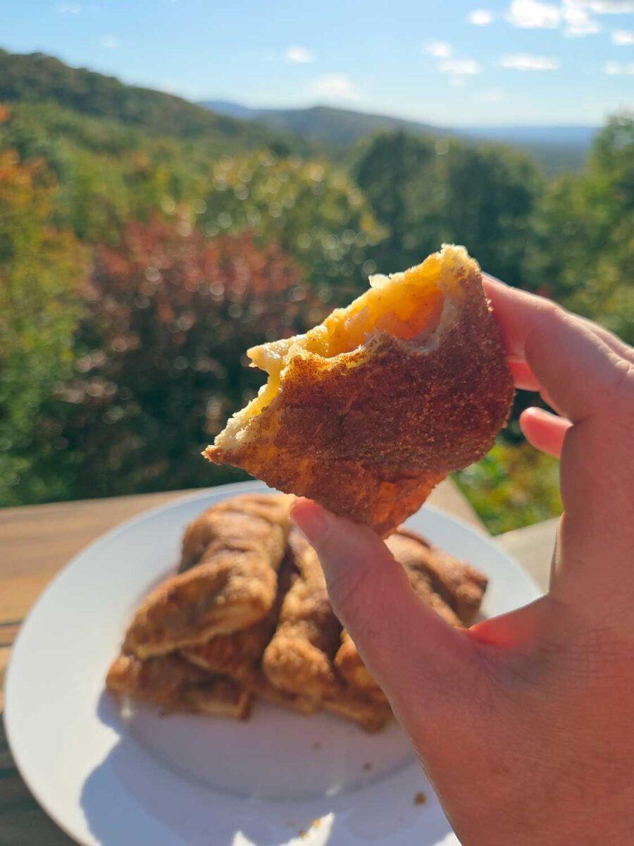 hand holding bitten pie