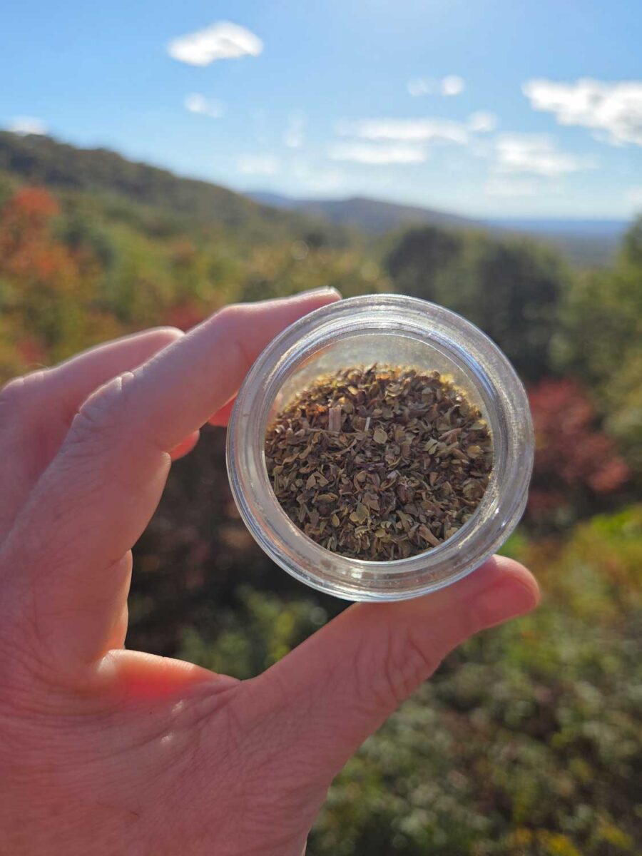 hand holding up jar of Italian seasoning